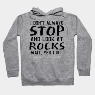 I Don't Always Stop And Look At Rocks, Wait Yes I Do, Geology Student Professor Gift Hoodie